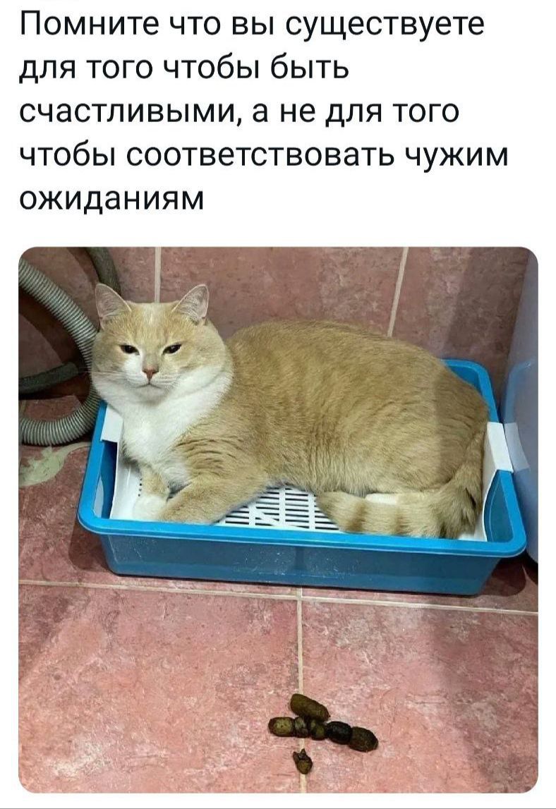 Помните что вы существуете для того чтобы быть счастливыми, а не для того чтобы соответствовать чужим ожиданиям