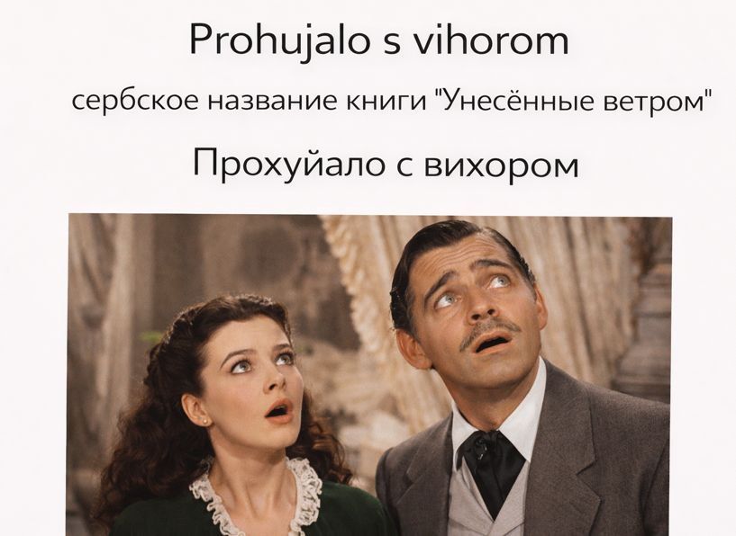 Prohujalo s vihorom
сербское название книги 