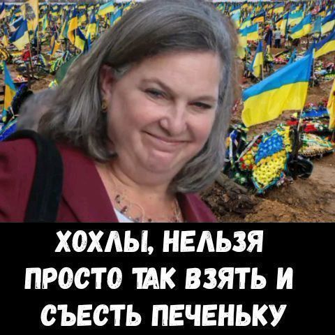 Хохлы, нельзя просто так взять и съесть печеньку