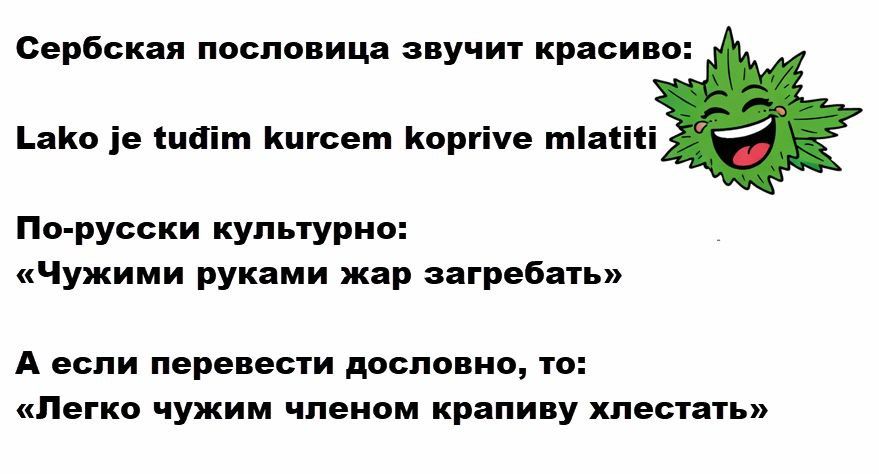 Сербская пословица звучит красиво:
Lako je tudim kurcem koprive mlatiti
По-русски культурно:
«Чужими руками жар загребать»
А если перевести дословно, то:
«Легко чужим членом крапиву хлестать»