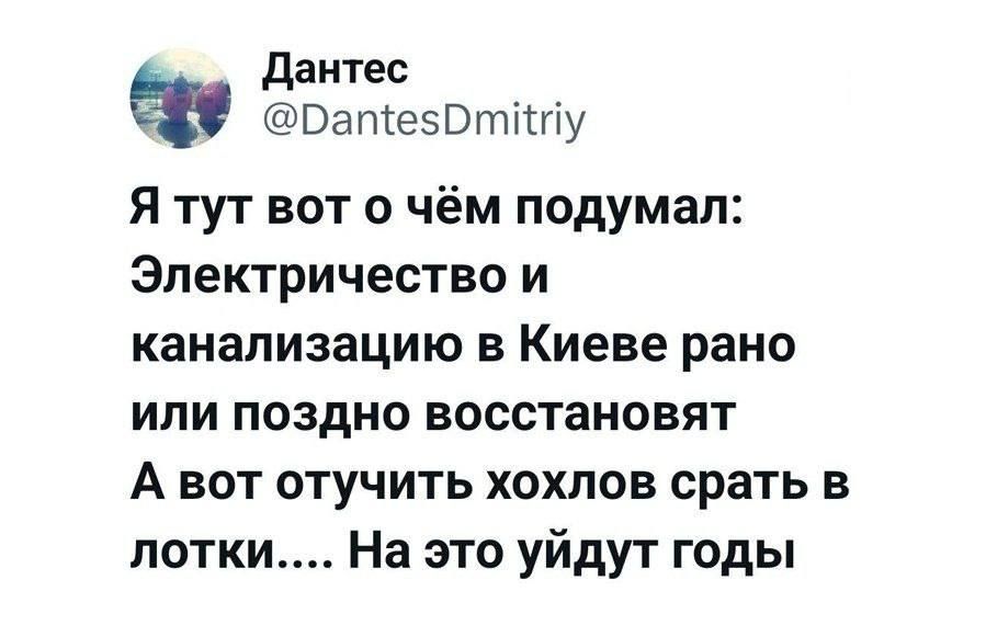 Я тут вот о чём подумал: Электричество и канализацию в Киеве рано или поздно восстановят А вот отучить хохлов срать в лотки..... На это уйдут годы