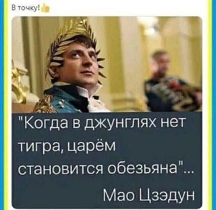 Когда в джунглях нет тигра, царём становится обезьяна ... Мао Цзэдун