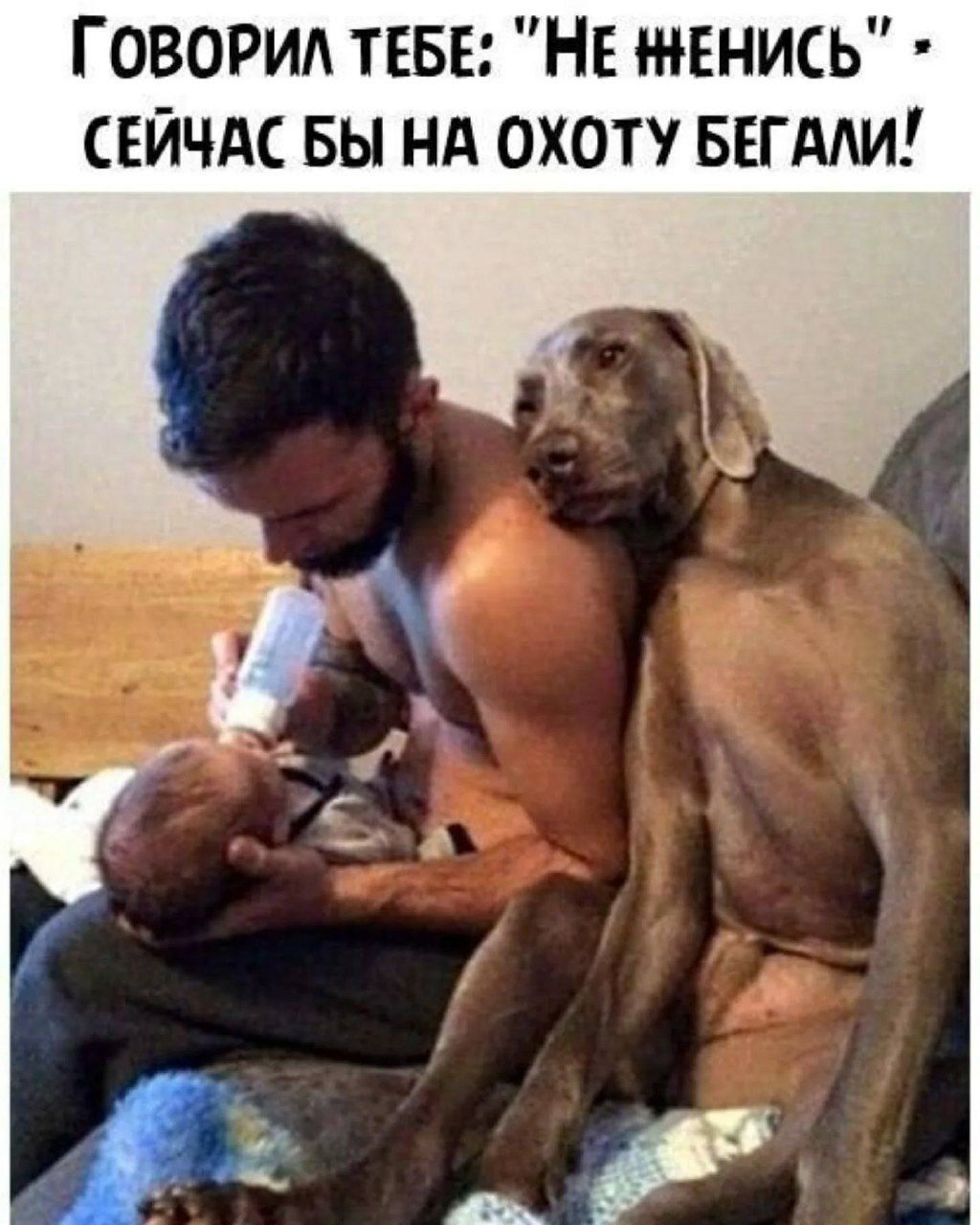 Говорил тебе: 'Не шенись' - сейчас бы на охоту бегали!