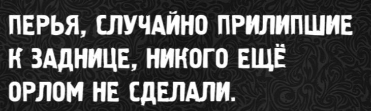 Перья, случайно прилипшие к заднице, никого ещё орлом не сделали.