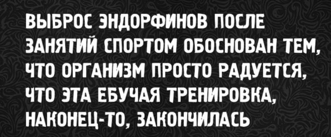 ВЫБРОС ЭНДОРФИНОВ ПОСЛЕ ЗАНЯТИЙ СПОРТОМ ОБОСНОВАН ТЕМ, ЧТО ОРГАНИЗМ ПРОСТО РАДУЕТСЯ, ЧТО ЭТА ЕБУЧАЯ ТРЕНИРОВКА НАКОНЕЦ-ТО ЗАКОНЧИЛАСЬ