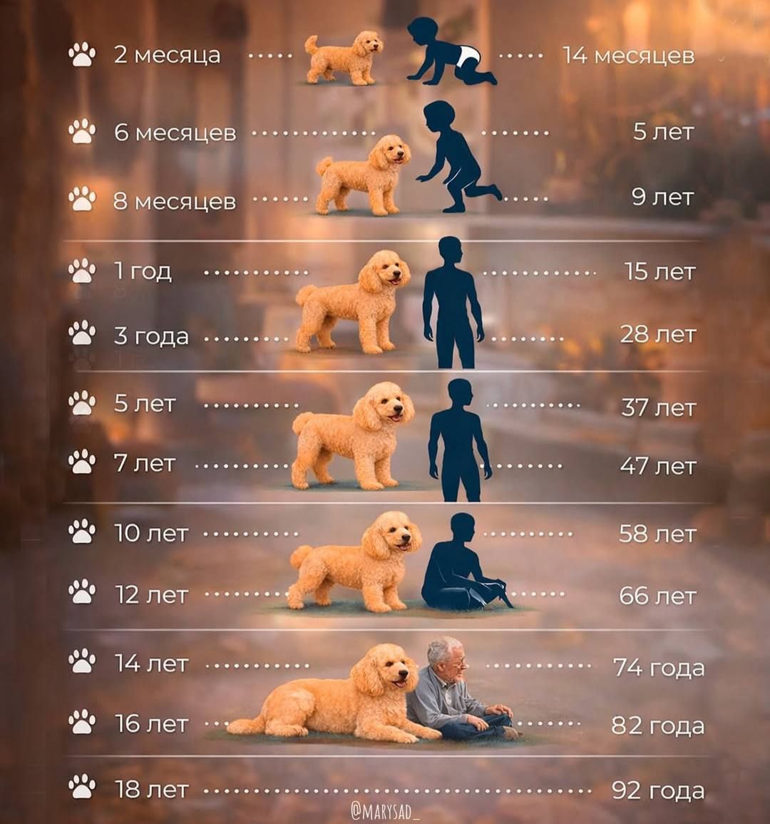 2 месяца ...... 14 месяцев
6 месяцев ...... 5 лет
8 месяцев ...... 9 лет
1 год ...... 15 лет
3 года ...... 28 лет
5 лет ...... 37 лет
7 лет ...... 47 лет
10 лет ...... 58 лет
12 лет ...... 66 лет
14 лет ...... 74 года
16 лет ...... 82 года
18 лет ...... 92 года