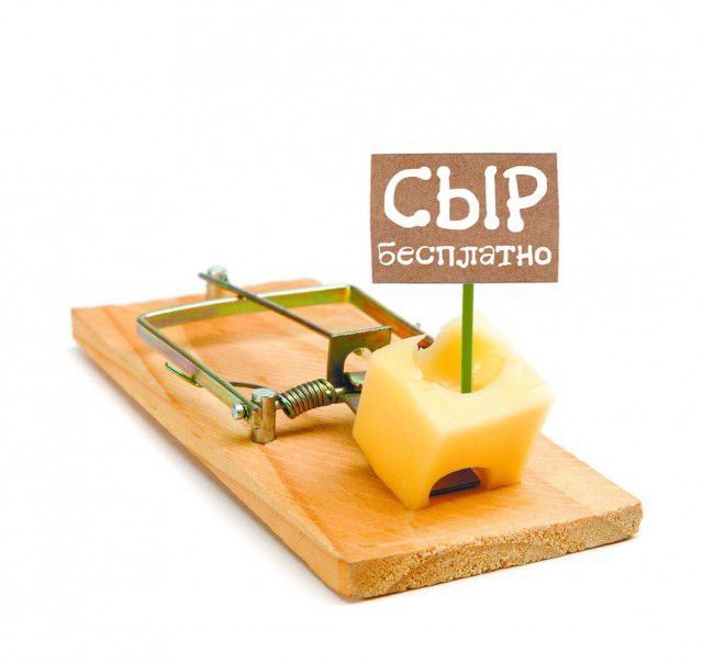 СЫР бесплатно