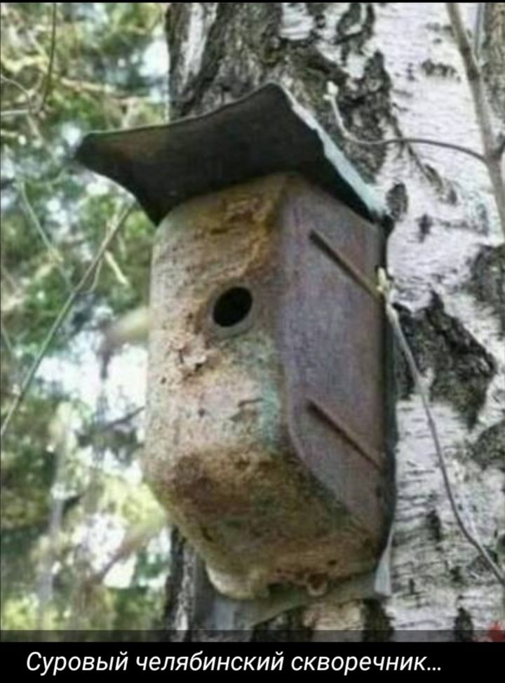 Суровый челябинский скворечник...