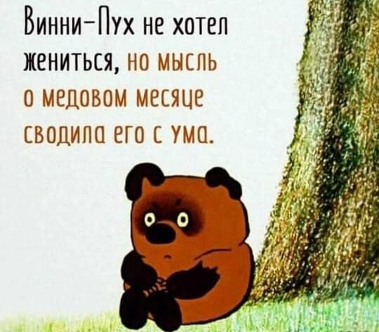 Винни-Пух не хотел жениться, но мысль о медовом месяце сводила его с ума.