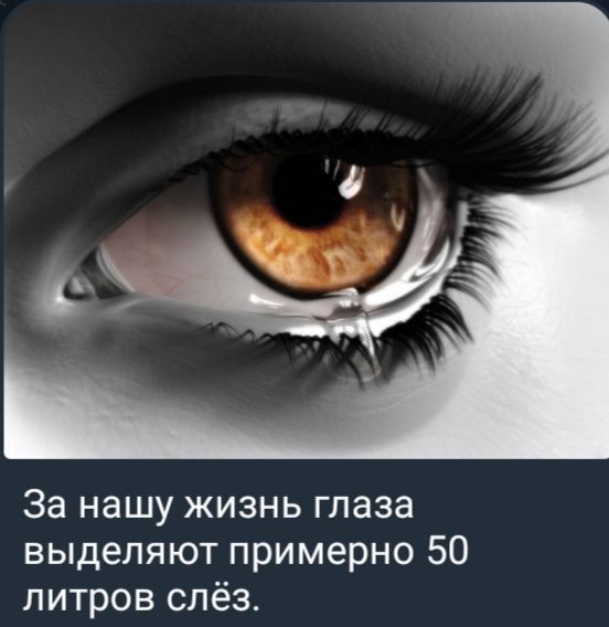 За нашу жизнь глаза выделяют примерно 50 литров слёз.