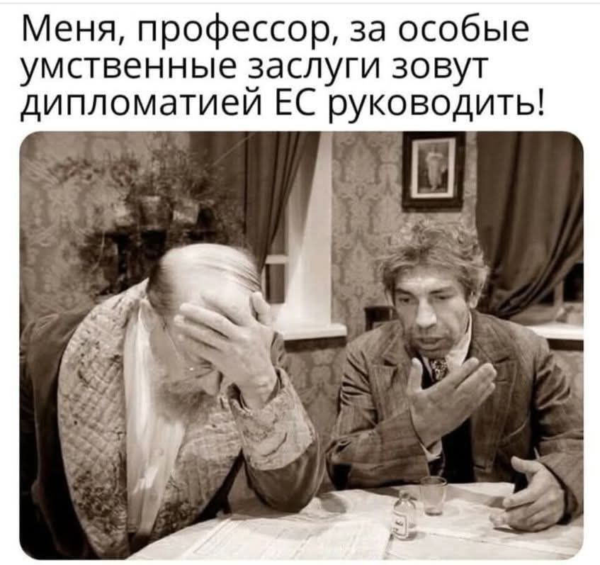 Меня, профессор, за особые умственные заслуги зовут дипломатией ЕС руководить!