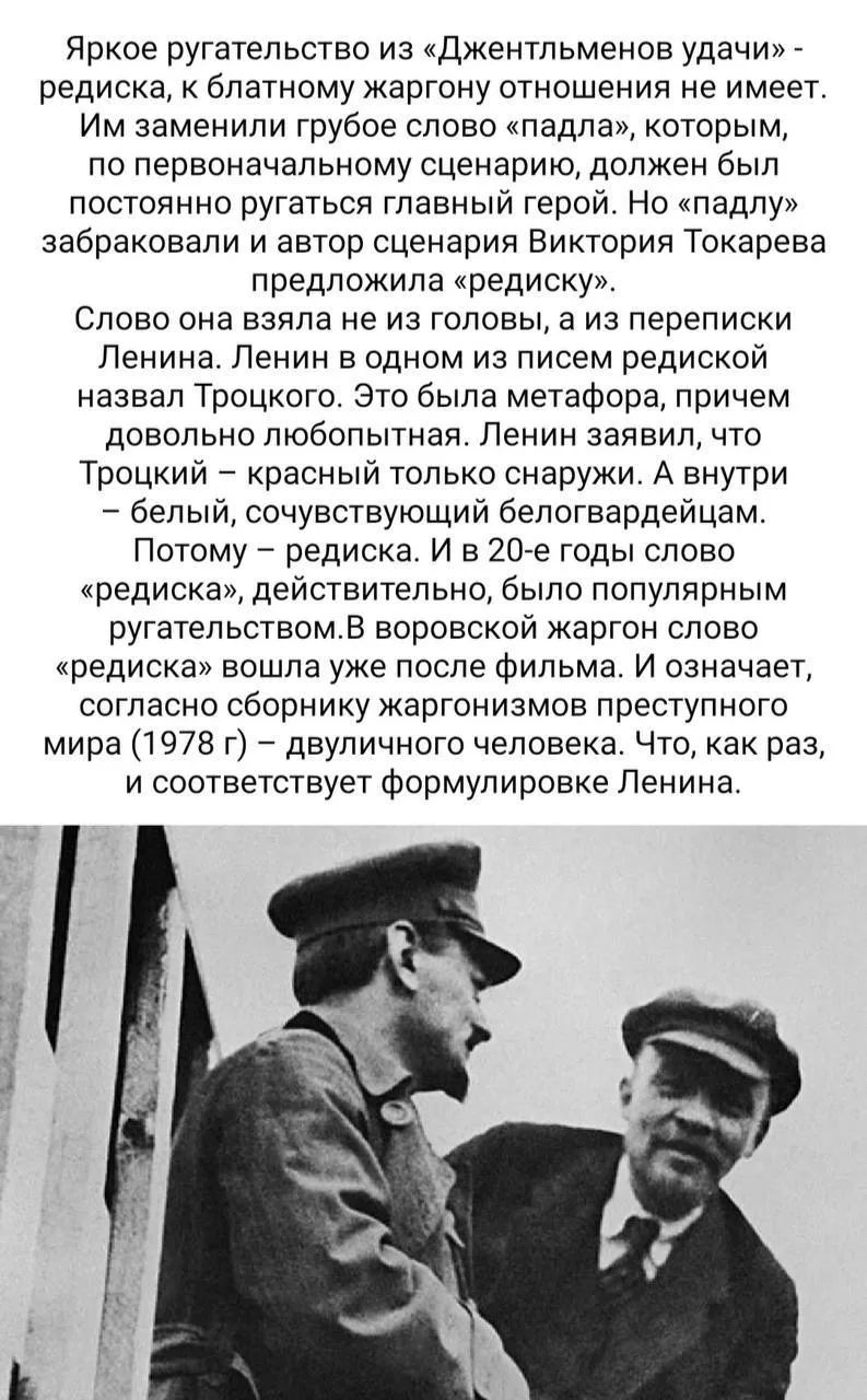 Яркое ругательство из «Джентльменов удачи» – редиска, к блатному жаргону отношения не имеет. Им заменили грубое слово «падла», которым, по первоначальному сценарию, должен был постоянно ругаться главный герой. Но «падлу» забраковали и автор сценария Виктория Токарева предложила «редиску». Слово она взяла не из головы, а из переписки Ленина. Ленин