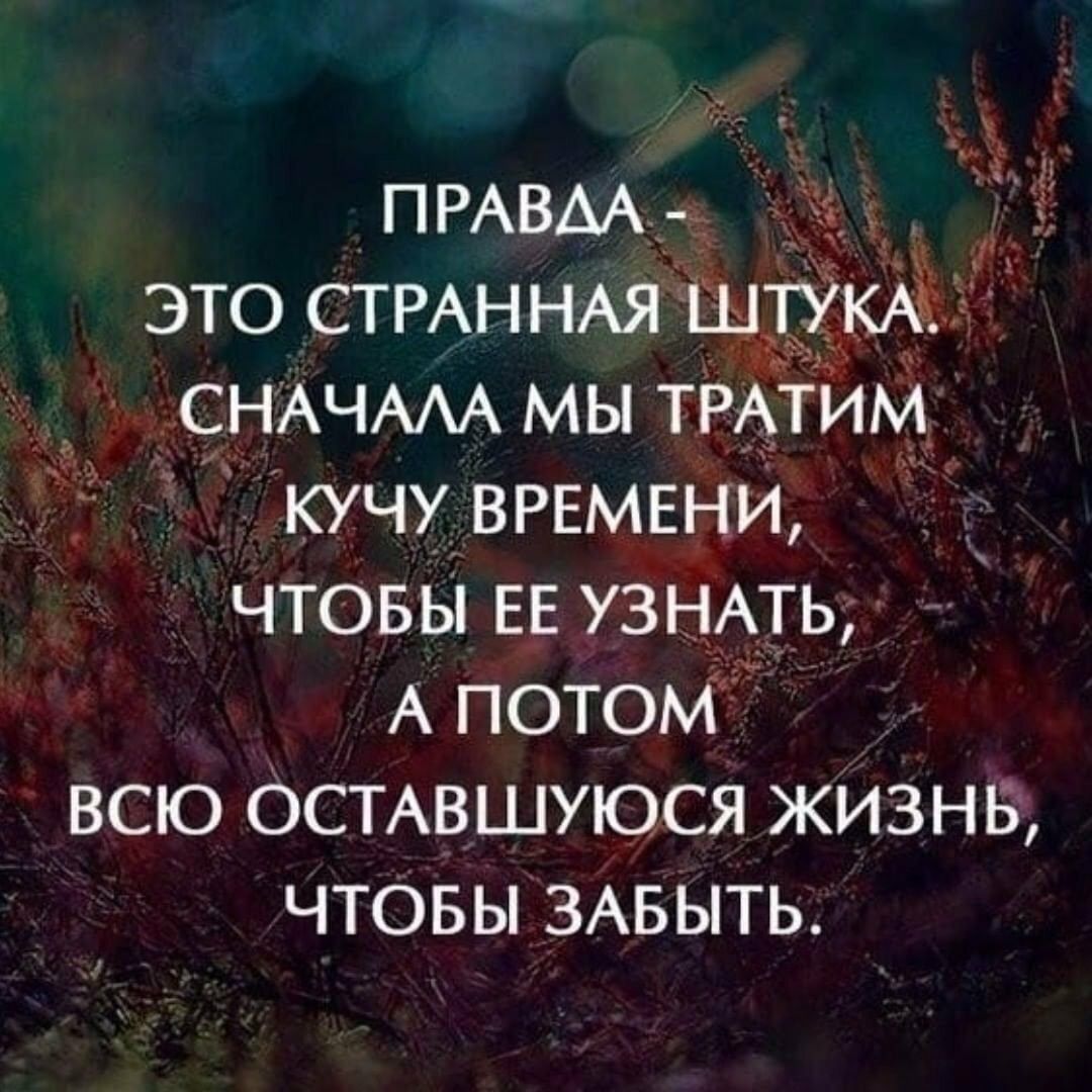 ПРАВАА ЭТО СТРАННАЯ штУкАг СНАЧАЛА МЫ ТРАТИМ КУЧУ ВРЕМЕНИ ЧТОБЫ ЕЕ УЗНАТЬ А ПОТОМ ВСЮ ОСТАВШУЮСЯ ЖИЗНБ ЧТОБЫ ЗАБЫТЬ