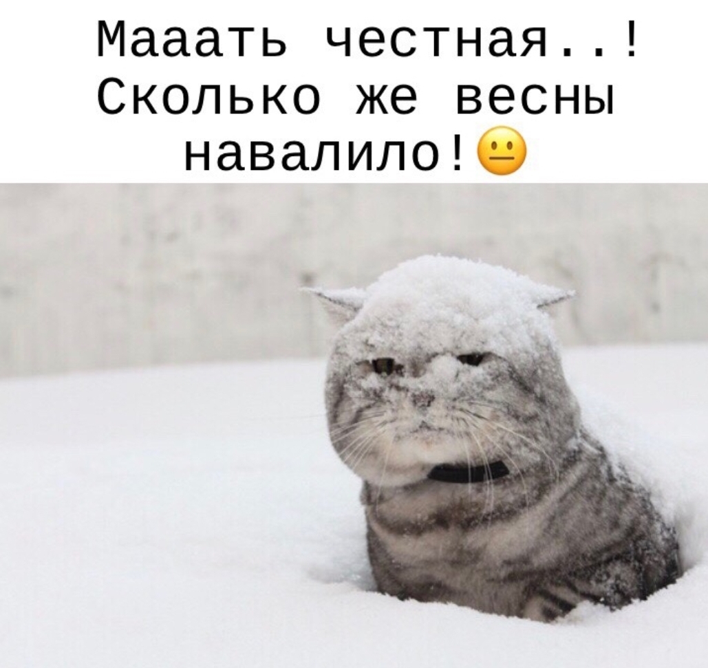 Мааать честная Сколько же весны навалилоіі