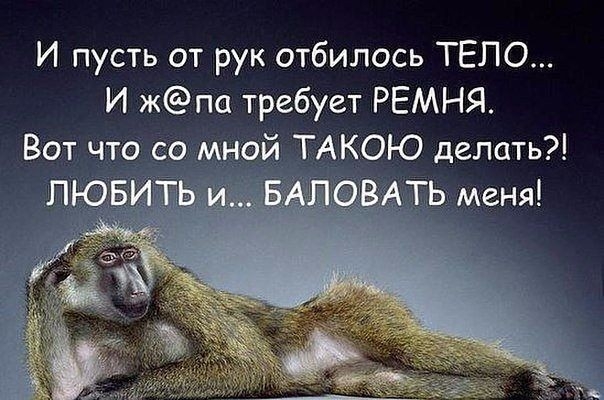 И пусть от рук отбилось ТЕЛО И жпа требует РЕМНЯ ТАКОЮ делать
