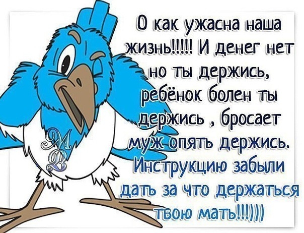 как ужасна наша И денег нет но ты держись нок кбол ты щержись кбросает