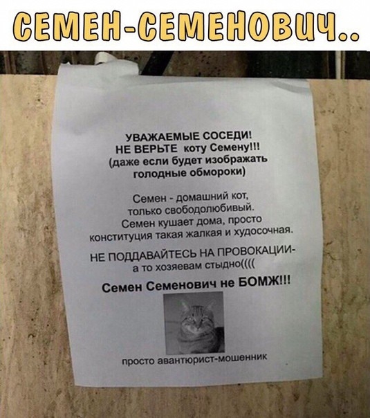 ЕБШёШшёЩВОО _ УВАЖАЕМЫЕ СОСЕД НЕ ВЕРЬТЕ коту Списку если Вуди изображять плод шью обмороки ишй Свчаи пущи дощ просто конституция татя шт и хитина нЕ подддыйтесь НА провоюхции тв по БОМЖ Овнам домвшнии