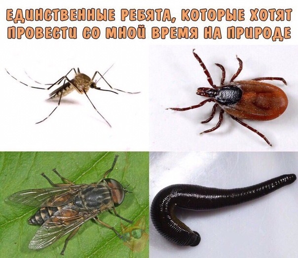 ШШЁШЁШШШЁ РЁБЗПТШЬ ЕКТГРШЗЁ ЖЁТЪТ ШМБЗЁКЁЁГШ ШШЁ ЁШЁП ШЗ ШРШРЩШЁ