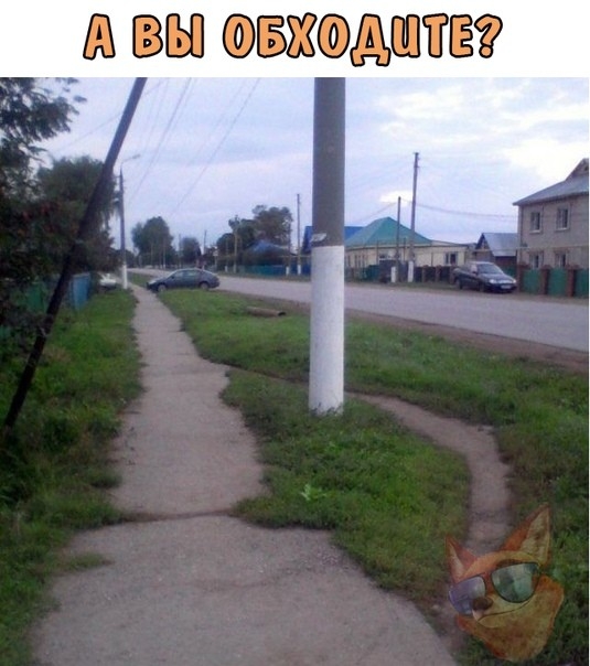 __щ вап дъштг