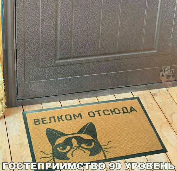 тёйёги
