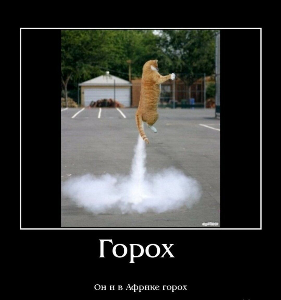 Горох Он и в дфрим трах