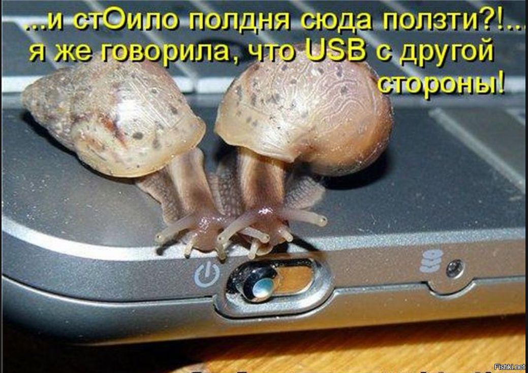 яЪю лапзти