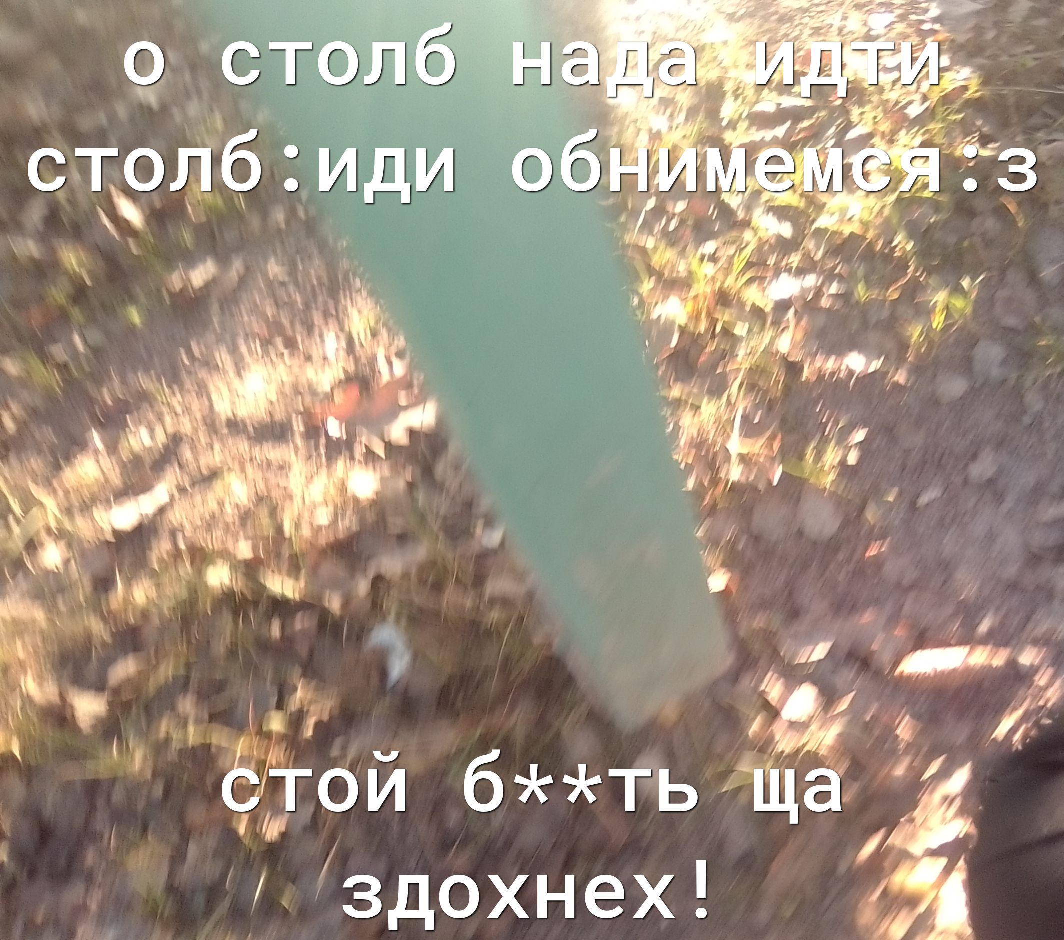 здохнех