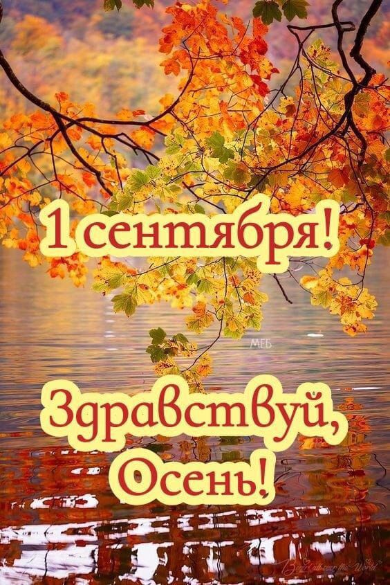 1 сентября! Здравствуй, Осень!