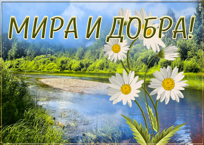 А ИОБ МИР 4