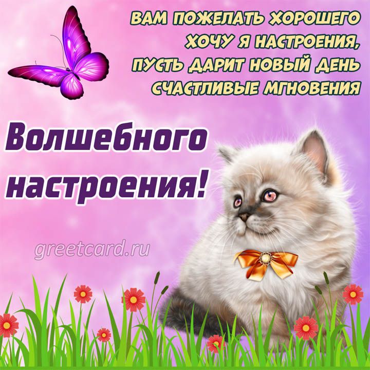 вешии ш Волшебного А5 настроения Ё _ а Мы 37