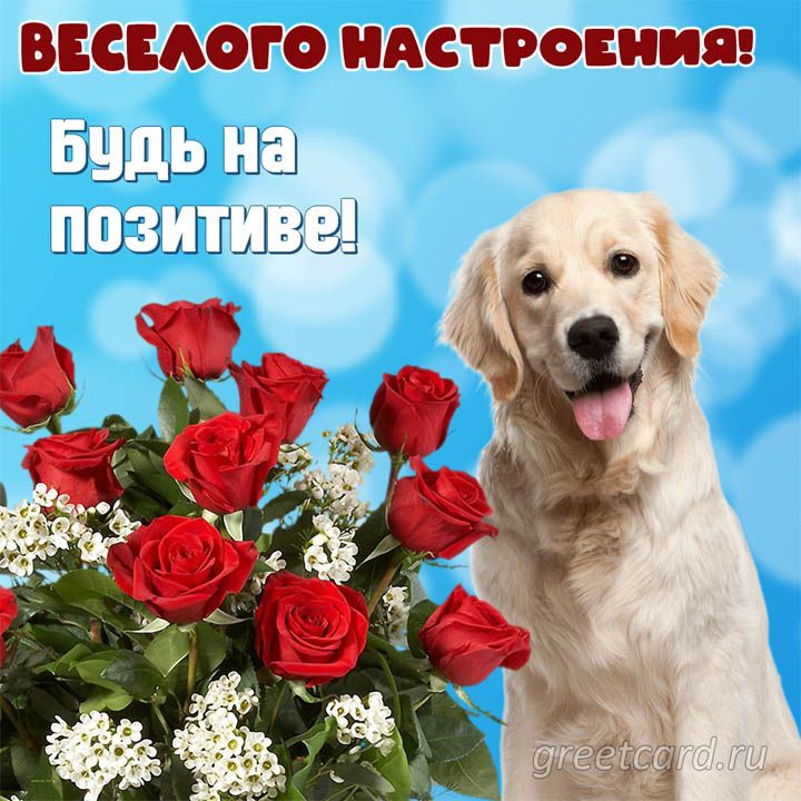 впиши о НАСТРОЕНИЯ В Ш п и а ц Ш в