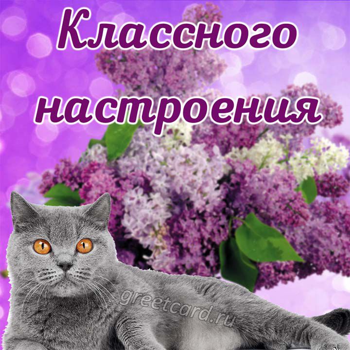 Классного