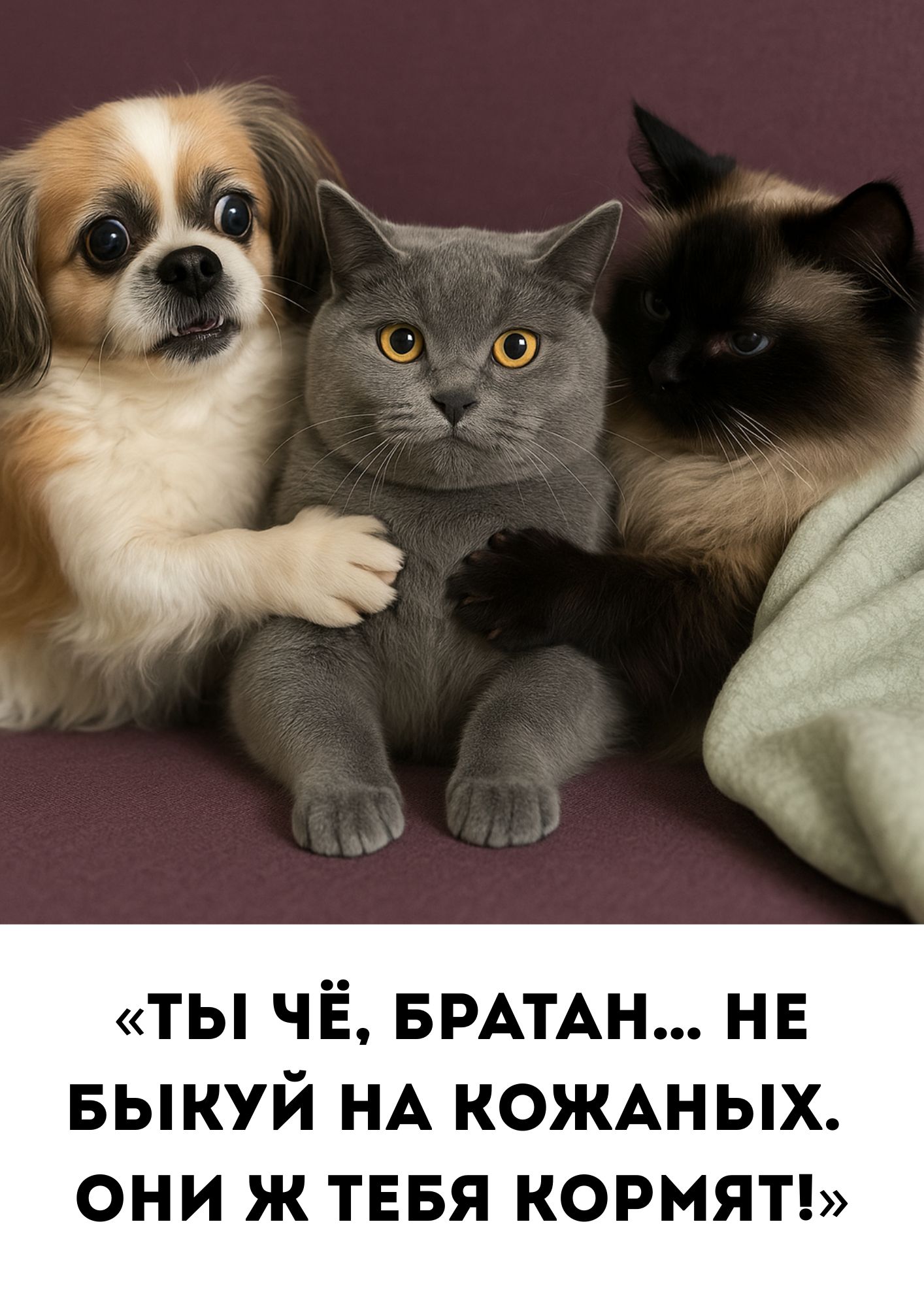 «ТЫ ЧЁ, БРАТАН... НЕ БЫКУЙ НА КОЖАНЫХ. ОНИ Ж ТЕБЯ КОРМЯТ!»