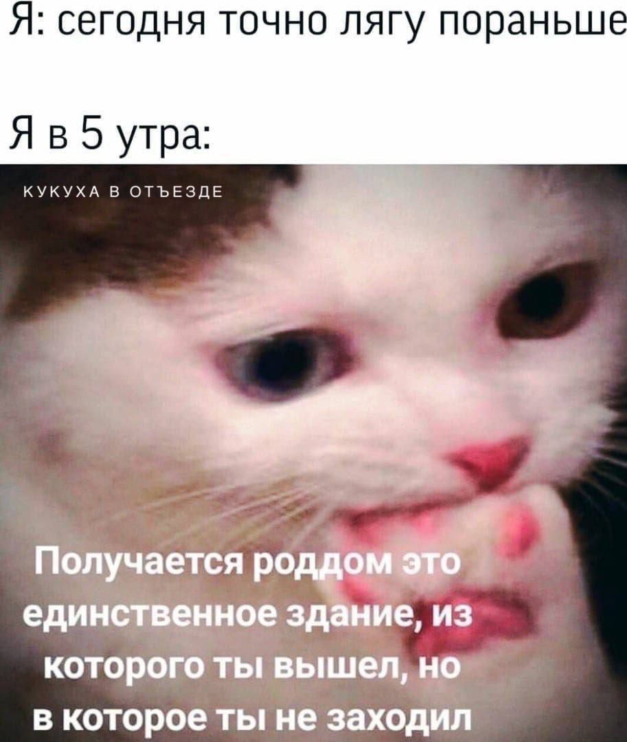 Я СЕГОДНЯ ТОЧНО ЛЯГУ ПОРЗНЬШВ Я в 5 утра ииждватъггді