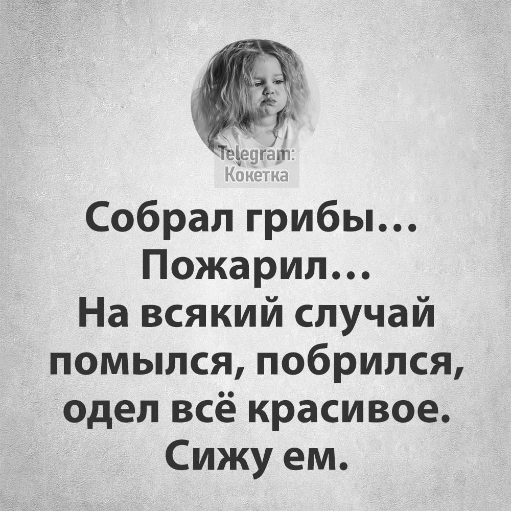 Собрал грибы Пожарил На всякий случай помылся побрился одел всё красивое Сижу ем