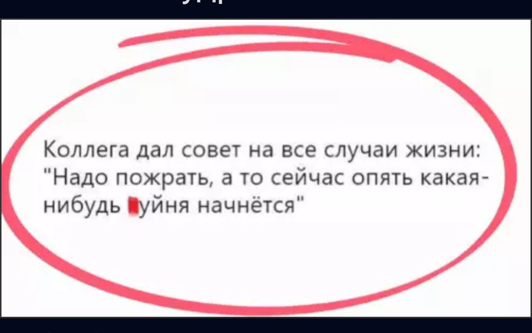 Коллега дал совет на все случаи жизни Надо пожрать а то сейчас опять какая нибудь Вуйня начнётся