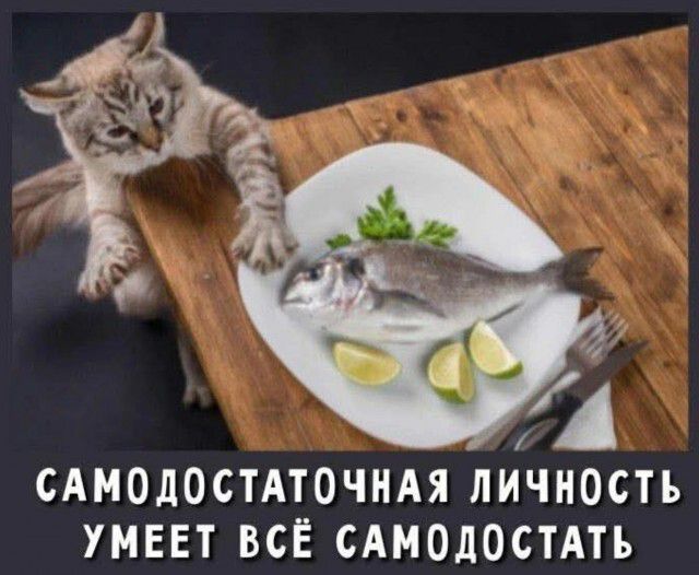 САМОДОСТАТОЧНАЯ ЛИЧНОСТЬ УМЕЕТ ВСЁ САМОДОСТАТЬ