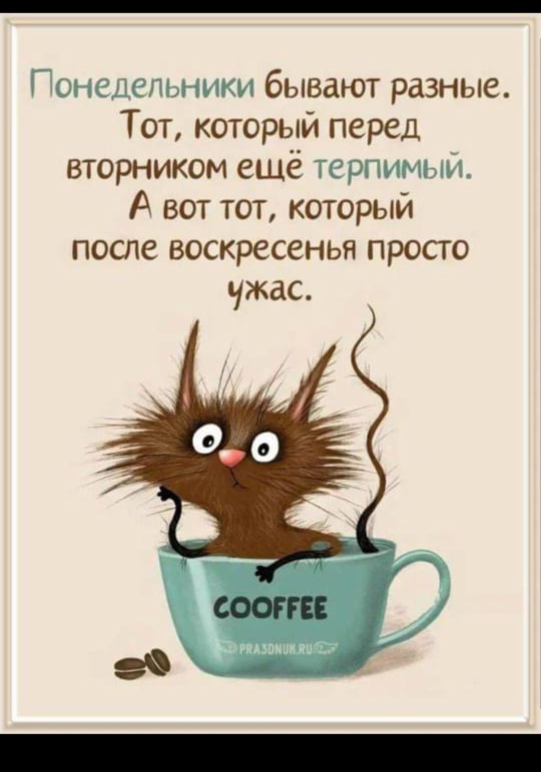 Понедельники бывают разные. Тот, который перед вторником ещё терпимый. А вот тот, который после воскресенья просто ужас.