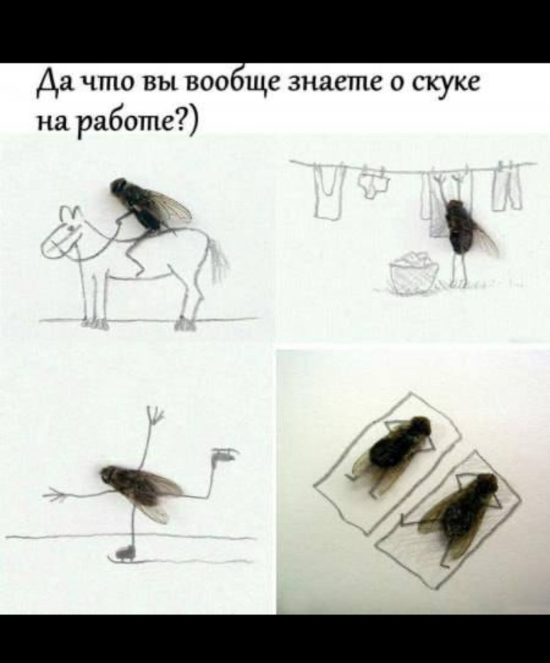 Да что вы вообще знаете о скуке на работе?)