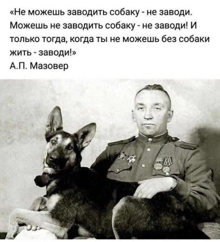 «Не можешь заводить собаку - не заводи. Можешь не заводить собаку - не заводи! И только тогда, когда ты не можешь без собаки жить - заводи!» А.П. Мазовер