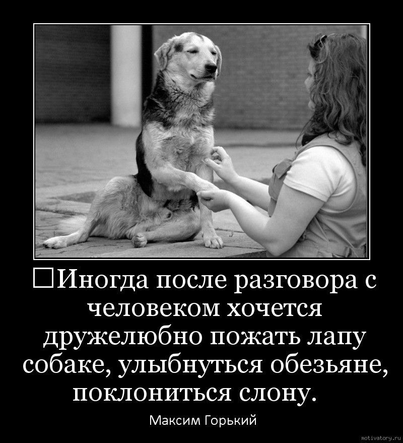 Иногда после разговора с человеком хочется дружелюбно пожать лапу собаке, улыбнуться обезьяне, поклониться слону.
Максим Горький