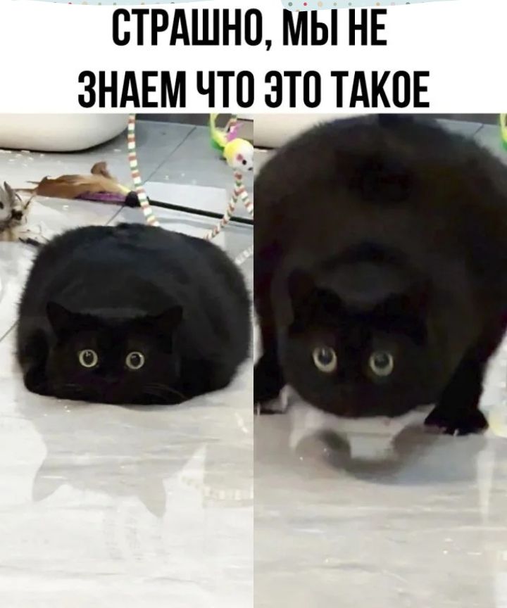 СТРАШНО МЫ НЕ ЗНАЕМ ЧТО ЗТО ТАКОЕ