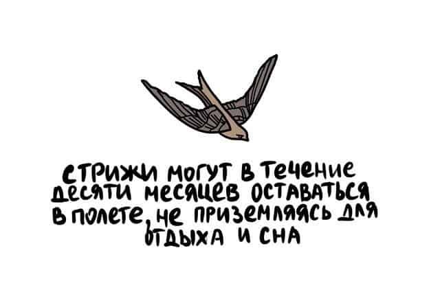 Я СТРИЖ МОГУТ втечение шми местно оствшщ ь поте не пгиъенпимь лия тым и сид