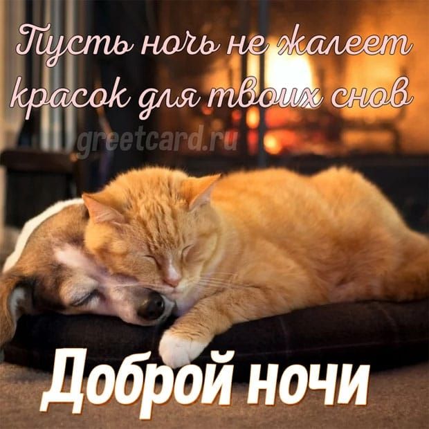 Тне _ іі я ДаЁй ночи