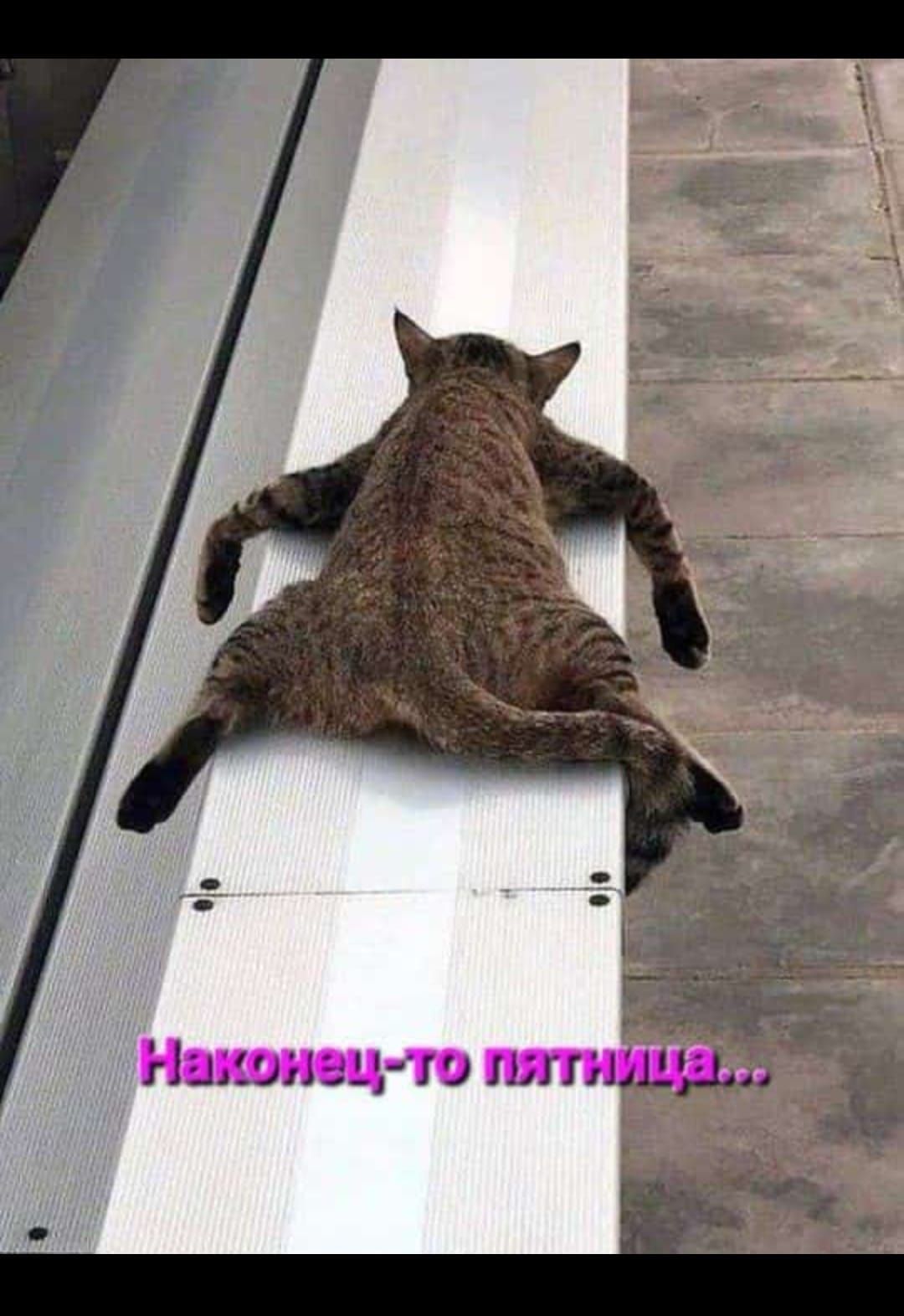 Нахонгец то пятидиа Ю о