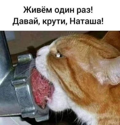 Живём один раз Давай крути Наташа