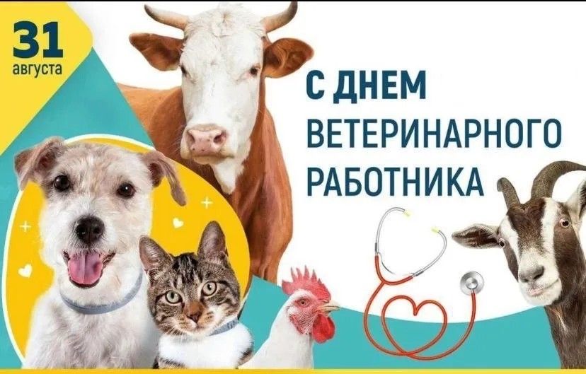 СДНЕМ е ВЕТЕРИНАРНОГО 9 йо