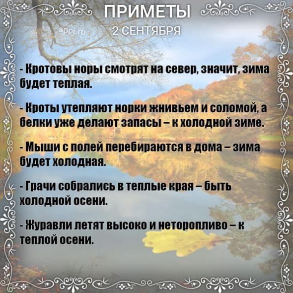 Ё кипіпіьп норы смотрят на север значит зима _ будет теплая будет холодная Грачи собрались в теплые края быть лодной осени упавли летят высоко и неторопливо К