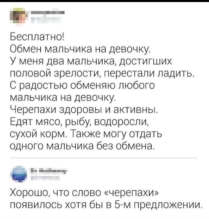 Бесплатно Обмен мальчика на девочку У меня два мальчика достигших половой зрелости перестали ладить С радостью обменяю любого мальчика на девочку Черепахи здоровы и активны Едят мясо рыбу водоросли сухой корм Также могу отдать одного мальчика без обмена і РРНННИя Хорошо что слово черепахи появилось хотя бы в 5 м предложении