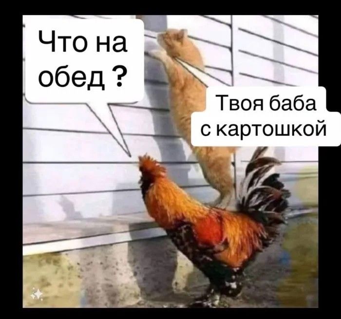 Твоя баба скартошкой